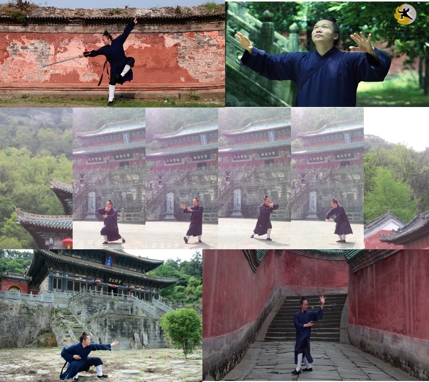 montage ylm